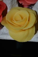 DSC_6856.JPG