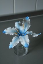 IMG_0965.JPG