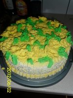 IMG_1018cin.jpg
