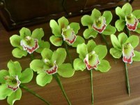 orchidee_zielone_male.jpg