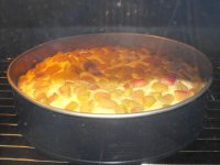DSCF1037.JPG