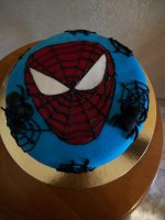 SPIDERMAN.jpg