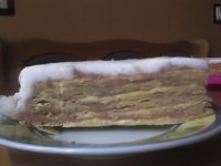 tort_ros.JPG tort_ros.JPG