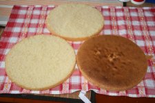 IMG_5569.jpg