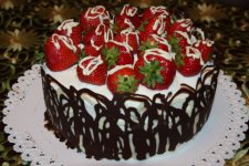 torty_060_001.JPG