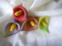 _1050723.jpg