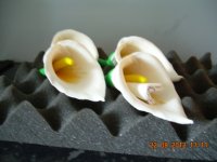 DSCN4650.JPG