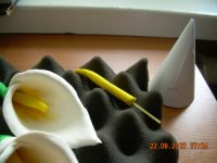 DSCN4651.JPG