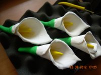 DSCN4652.JPG
