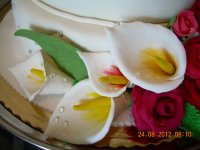 DSCN4695.JPG