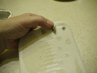 _1050750.jpg