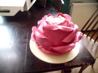 IMG_0925.JPG