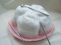 tort_z_b_061.jpg