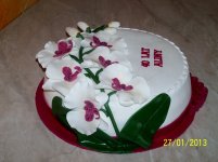 100_8942.JPG