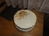 DSC04529.JPG