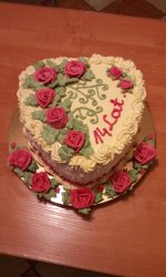 20110118_171600.jpg