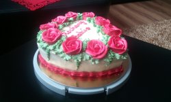 20110113_110222.jpg