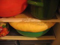 IMG_7880.JPG