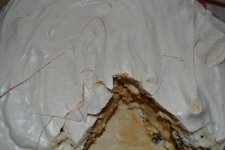 DSC_0662.jpg