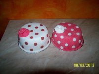 100_9171.JPG