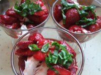 truskawki_w_occie_balsamicznym1.jpg truskawki_w_occie_balsamicznym1.jpg