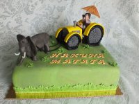 DSCF1151.JPG