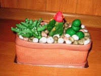 2013.07.14_009.JPG