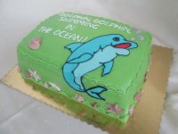 delfin_jagodowo__mietankowy_005.jpg