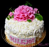 milena.jpg