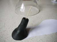 _1050869.JPG