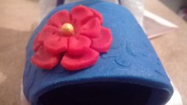 WP_20140212_007.jpg