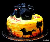 nikon1.jpg