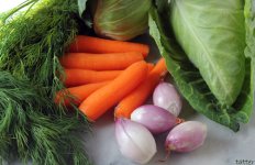 Braised_Spring_Cabbage_Ingredients.jpg