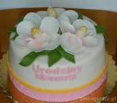DSCN8563.JPG