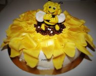 DSCN3896__2_.JPG