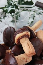 Walnut_Mushroom_Cookies_2.JPG Walnut_Mushroom_Cookies_2.JPG