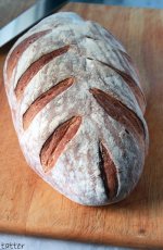 Yogurt_Sourdough_2015.JPG