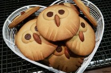 Owl_Cookies.jpg Owl_Cookies.jpg