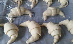 St_Martin_Croissant_2015_3.jpg