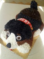 20160130_114604.jpg