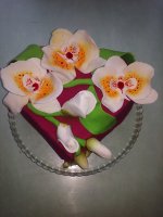 20160202_141404.jpg