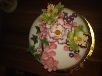 20160326_233653.jpg