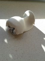 20160402_163849.jpg