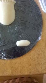 WP_20160518_022.jpg