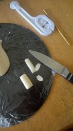 WP_20160518_023.jpg