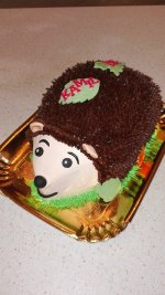 IMG_20161015_130246.jpg