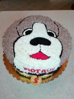 IMG_20170311_092528.jpg