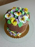IMG_20170520_155356.jpg