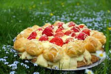 Winterbeutel_Torte_mit_Erdbeeren_cin.jpg Winterbeutel_Torte_mit_Erdbeeren_cin.jpg