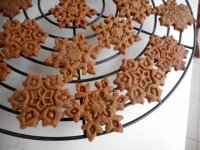 speculoos.jpg speculoos.jpg
